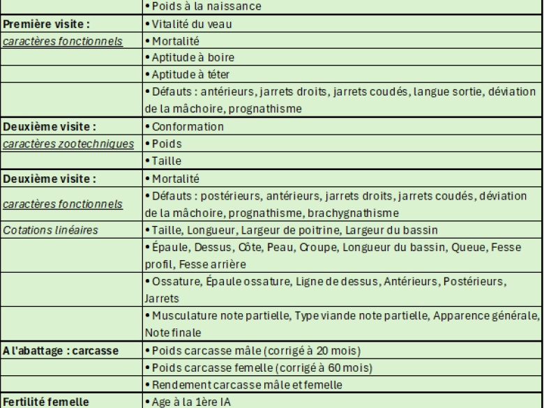 Caractères mesurés